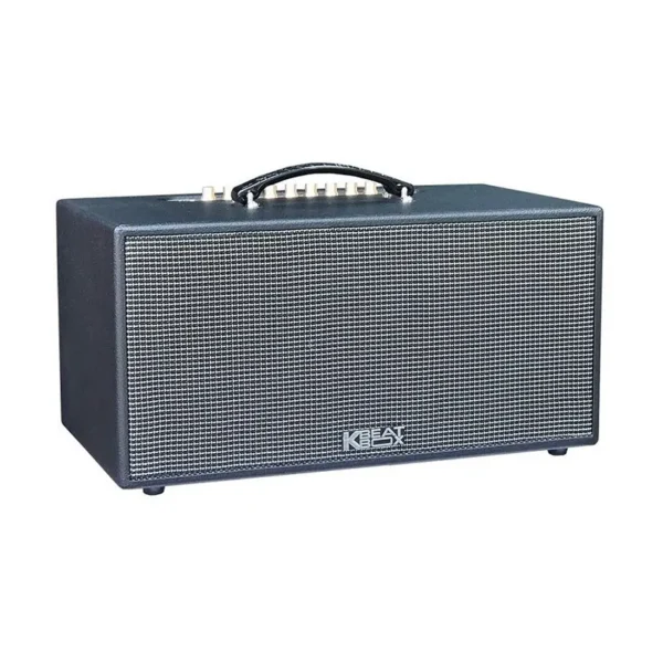 Loa Karaoke Di Động Acnos CS447R