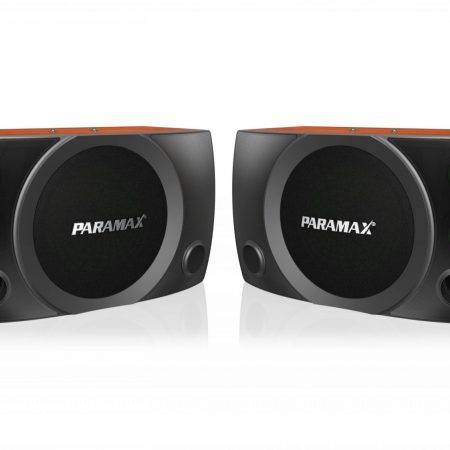 Loa PARAMAX MK-S2000 Karaoke