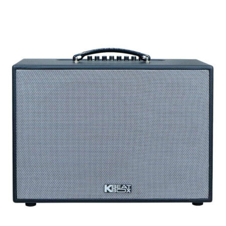 Loa Acnos CS251PU
